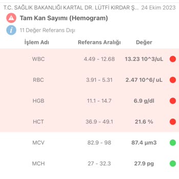 Kartal Dr. Lütfi Kırdar Şehir Hastanesi Acil Müdahale Etmeden Eve Gönderiyor