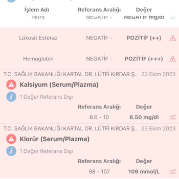 Kartal Dr. Lütfi Kırdar Şehir Hastanesi Acil Müdahale Etmeden Eve Gönderiyor
