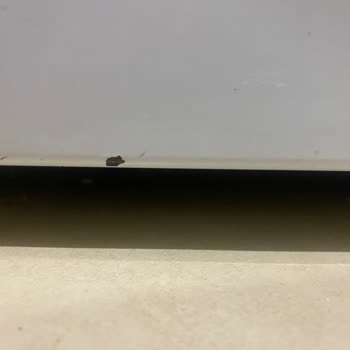 Beko Çamaşır Makinesi Şikayeti