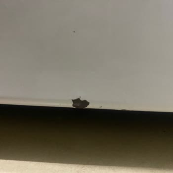 Beko Çamaşır Makinesi Şikayeti