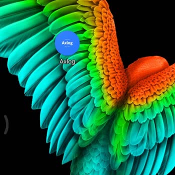 Axlog Uygulama Sorunu