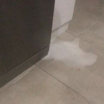 SEG Marka Bulaşık Makinesi Su Kaçırıyor