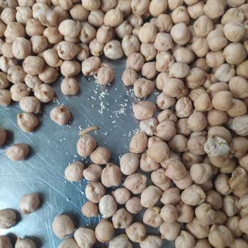 Anadolu Mutfağı Şok Markette Satılan Nohudun İçinden Kurt Çıktı.