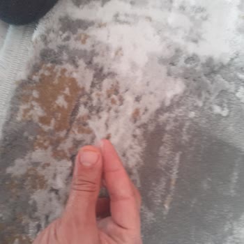 Atlas Halı Toz Ve Yün Döküyor