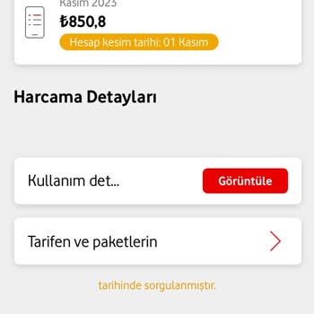 Vodafone's Bills Are Through the Roof