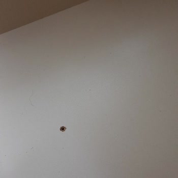 Kelebek Mobilya İzmir/Kemalpaşa Sıfır Ürün Parasına Teşhir Ürün Geldi