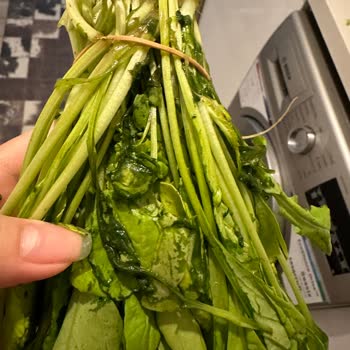 File Market Çürük Meyve Sebze Yeşilliklerle Dolu Online Sipariş Teslimi Aldım