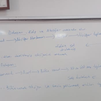ErpaPay Anında Efete Den Yatirim Yaptım Ama Hesabıma Geçmedi
