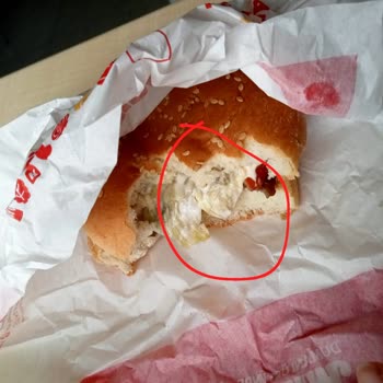 Burger King Whopper Jr Menüden Saç Çıktı