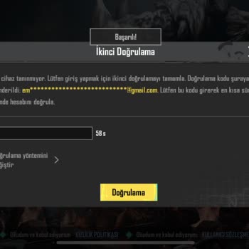 Instagram Ticaret Üzeri Kaybedilen Hesap!