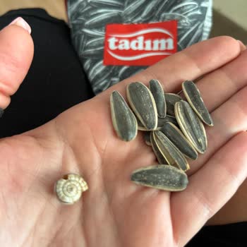 Tadım Gıda Kuruyemiş Paketinden Salyangoz Çıktı