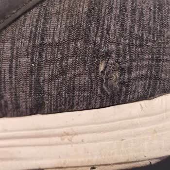 In Street On Street Mağazası Şikayeti