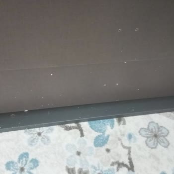Horoz Lojistik'in Pembe Masalları