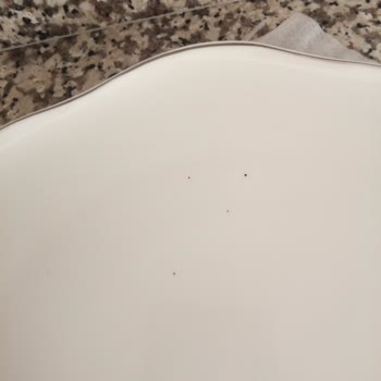 Emsan Mutfak Karaca App Mağduriyeti