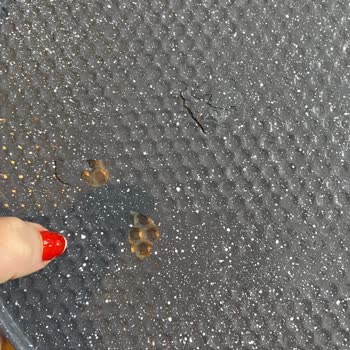 Schafer Kek Kalıbı Soyulması