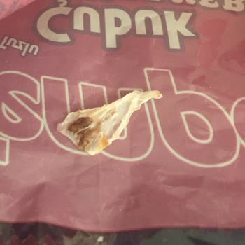 Biskot Bisküvi Ürün İçinden Pis Bir Cisim Çıktı