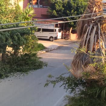 Toroslar Elektrik Dağıtım Seni Hatay'da İstemiyoruz!