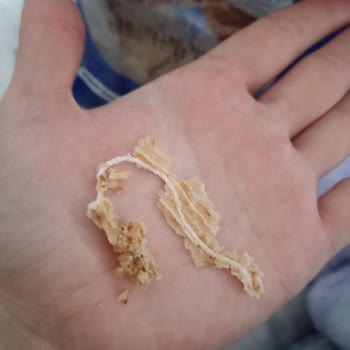 Haşiroğlu Paket İçinden Çıkan İp Parçası