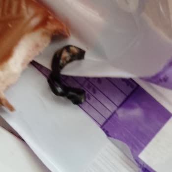 Milka Lila Pause Çikolatadan Toka Çıktı