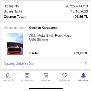 N11 Alitiki Masaüstü Şömine Eziyeti