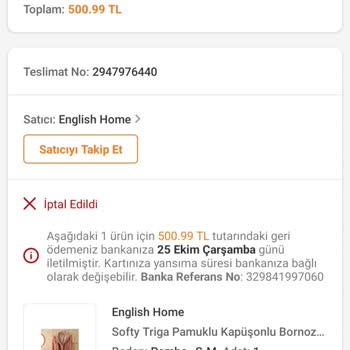 English Home Un Online Tecrübesizliği