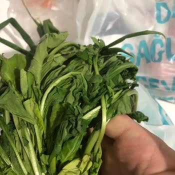 A101 Sürekli SKT Si Geçmiş Ürün Gönderiyor