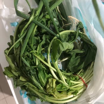 A101 Sürekli SKT Si Geçmiş Ürün Gönderiyor