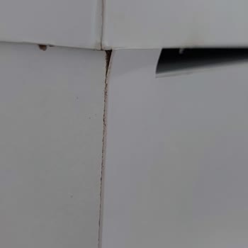 Dekorex Horoz Lojistik Ürün Teslimatı Sorunu