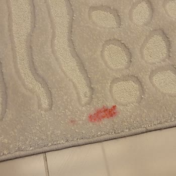 Karaca Halı Yıkama İzmir Halı Yıkama Şikayetleri