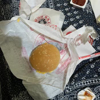 Saloon Burger Cheese Burger Ve Soğan Halkası Buz Gibi