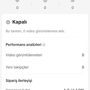 TikTok Reklam İade Sorunu