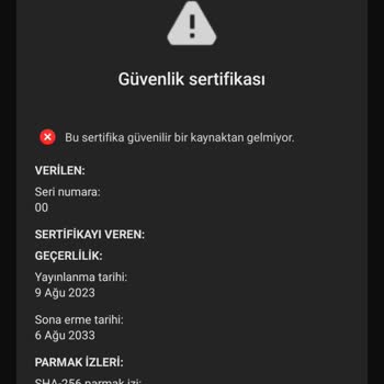 Walmart Hesap Erişimi Sorunu!