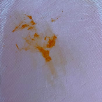 Aşçı Anne Kapya Biber Salçasından Böcek Çıktı