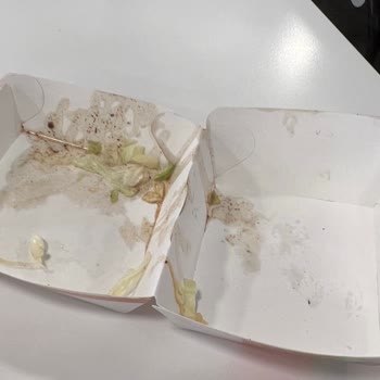 McDonald's Hamburgerin Kötü Ve Pis Görüntüsü