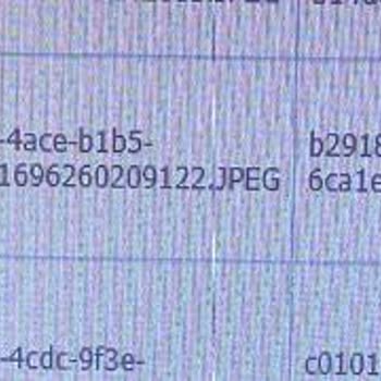 Quiksilver Terlik Mi Aldık Elektronik Eşyamı