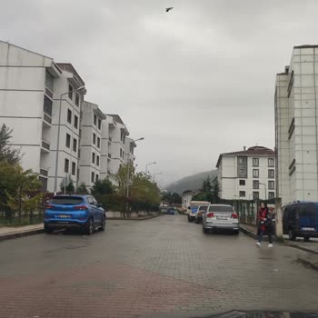 Sapanca Belediyesi Araç Yol Düzenlemesi