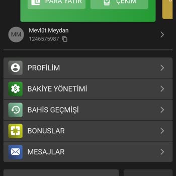 Betdog Casinoya İtibar Edilmemeli