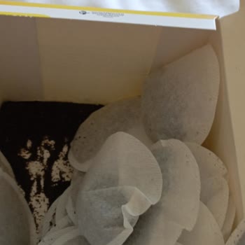 Lipton Demlik Poşet Delik