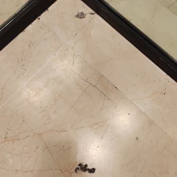 Dusty Dressing Rooms at Zara