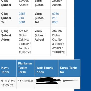 Sürat Kargo Sürat Değil Kaplumbağa