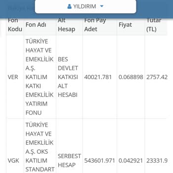 Takasbank Bireysel Emeklilik Birikimimin Neden Azalıyor?