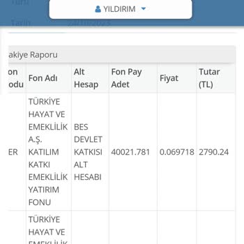 Takasbank Bireysel Emeklilik Birikimimin Neden Azalıyor?