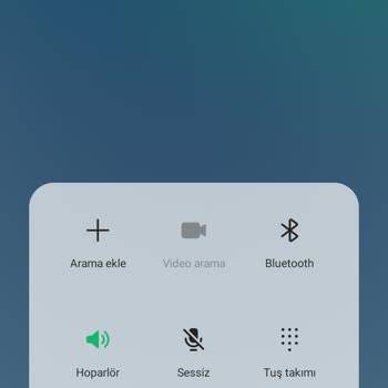Feniks İnternet İlgisizliği Ve Bağlantı Sorunu