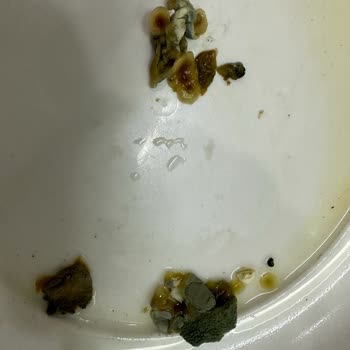 Arçelik 283721 Eı Buzdolabının Değişim Talebini Kabul Etmiyor