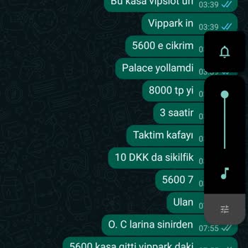 Palacebet Çekim Sorunu Çekim Gelmiyor