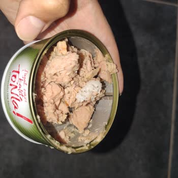 Zeytinyağlı Dardanel Ton Balığı