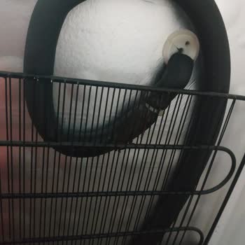 Beko 7070 MB A+ 7 Çekmeceli Derin Dondurucu Çürüyen Izgara Ve Borular