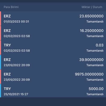 Bitexen Ve Exenpay Hesabımdaki Parayı Yuttular