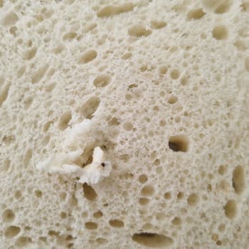 Uno Ekmek Tazepan Tost Ekmeğinden Böcek Çıktı!