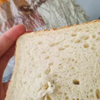Uno Ekmek Tazepan Tost Ekmeğinden Böcek Çıktı!